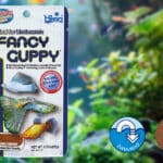 Hikari guppy vissenvoer: voor optimale groei & kleur