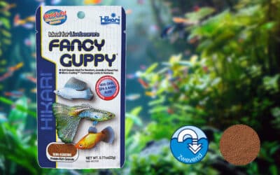 Hikari guppy vissenvoer: voor optimale groei & kleur