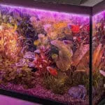 Superfish aquarium beginnersaquarium
