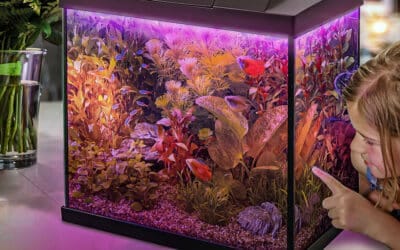 Superfish aquarium beginnersaquarium